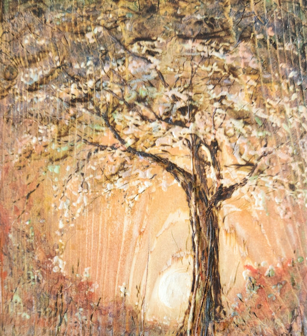 Setting Ember by Joy Grant