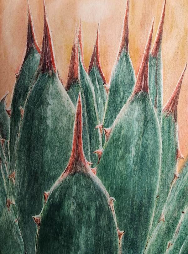 Agave Sunrise by Joy Grant