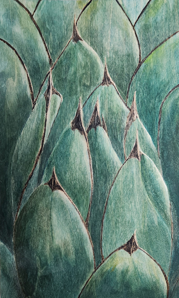 Agave Moonrise by Joy Grant