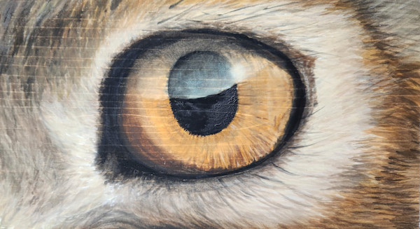 Horizons by Joy Grant