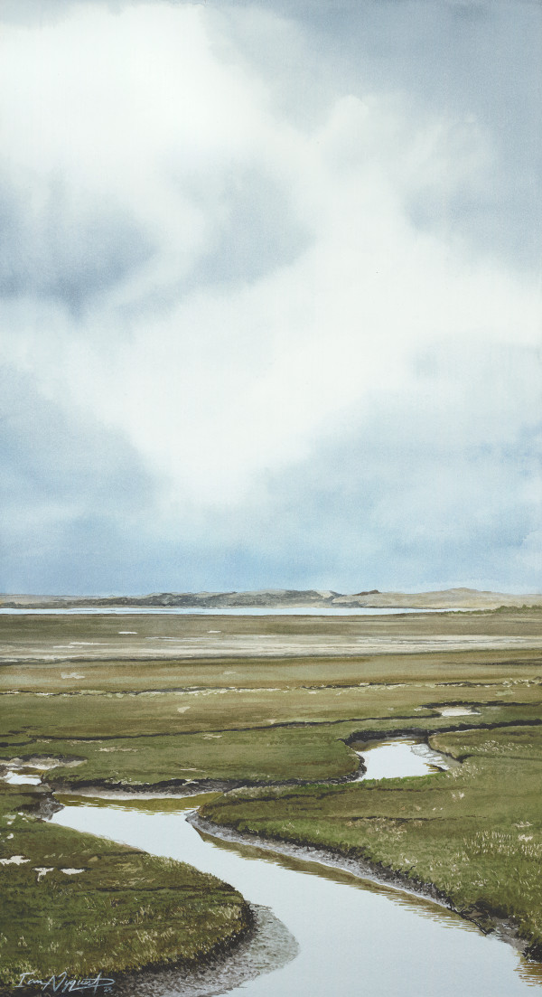 Through the Marsh by Ian Nyquist