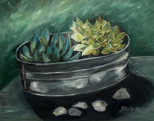 Succulents by Michelle Blackmon