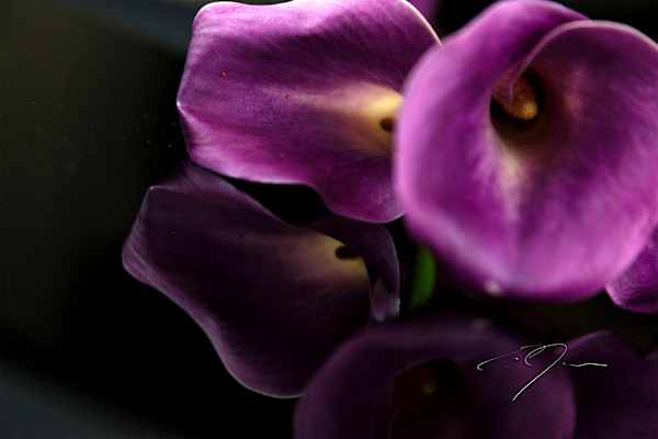 EMULATE by Eric C. Jackson