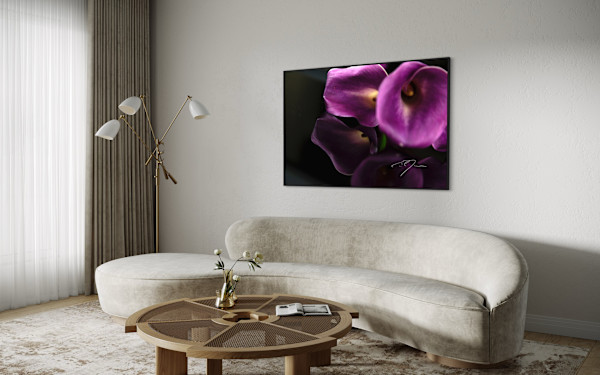 EMULATE by Eric C. Jackson