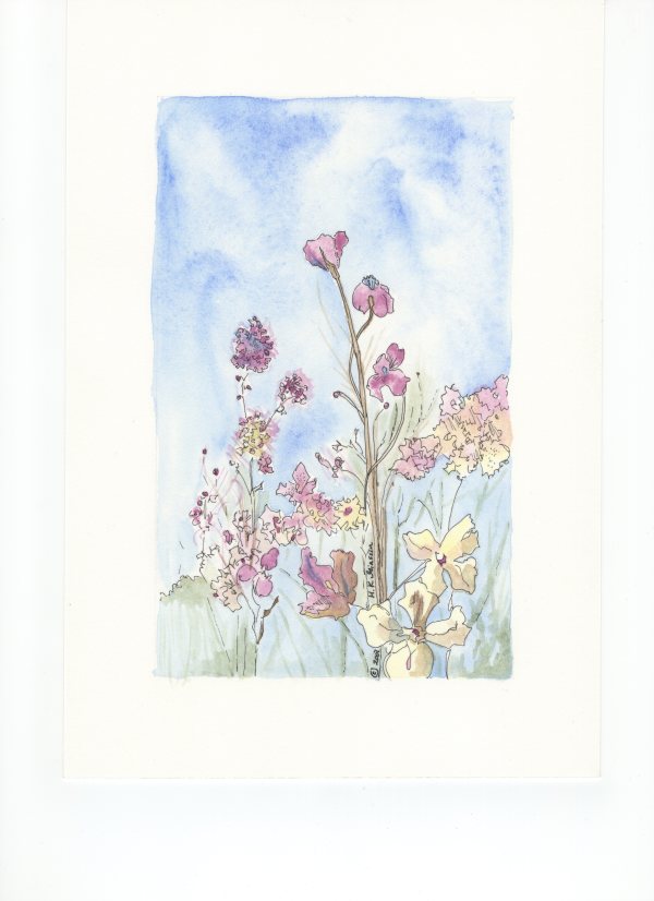 Yellow and Purple Wildflowers by Helena Kuttner-Giasson