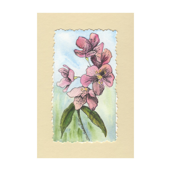 Pink Sonnet Watercolor Floral Painting by Helena Kuttner-Giasson