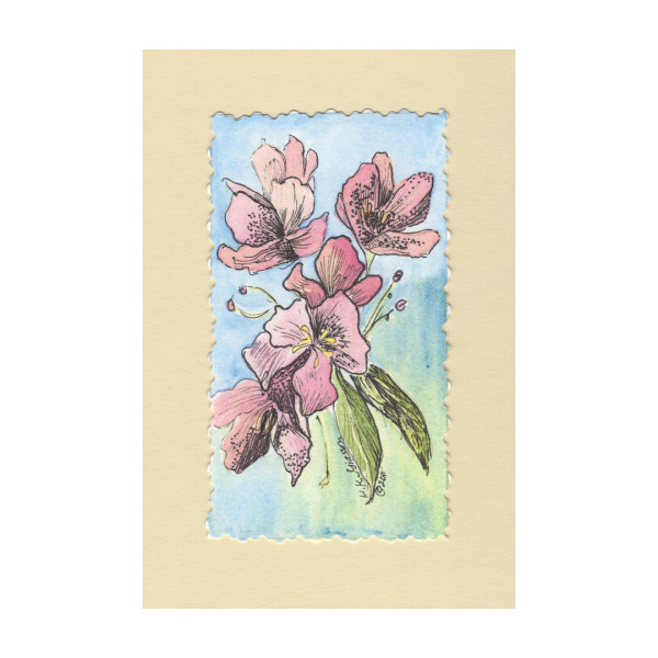 Pink Sonnet 2 Watercolor Floral Painting by Helena Kuttner-Giasson