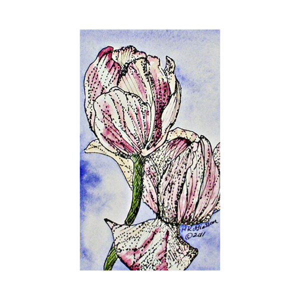 Tulip Duet by Helena Kuttner-Giasson