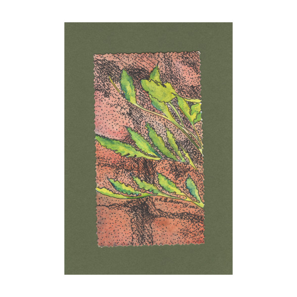 Whispering Fern Watercolor Floral Painting by Helena Kuttner-Giasson