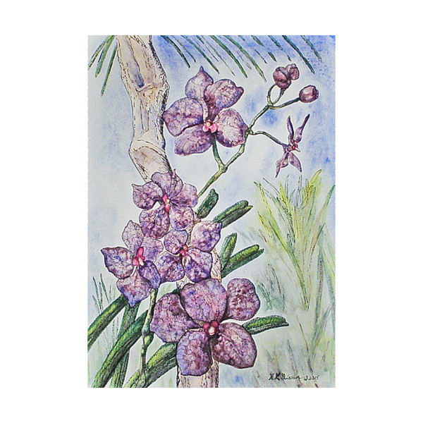 Hawaii Orchid by Helena Kuttner-Giasson