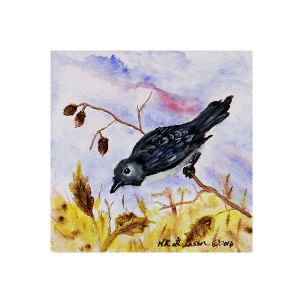 Acorn Bird by Helena Kuttner-Giasson