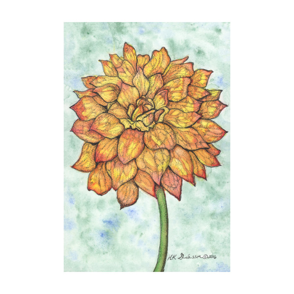 Dahlia 2 Watercolor Floral Painting by Helena Kuttner-Giasson