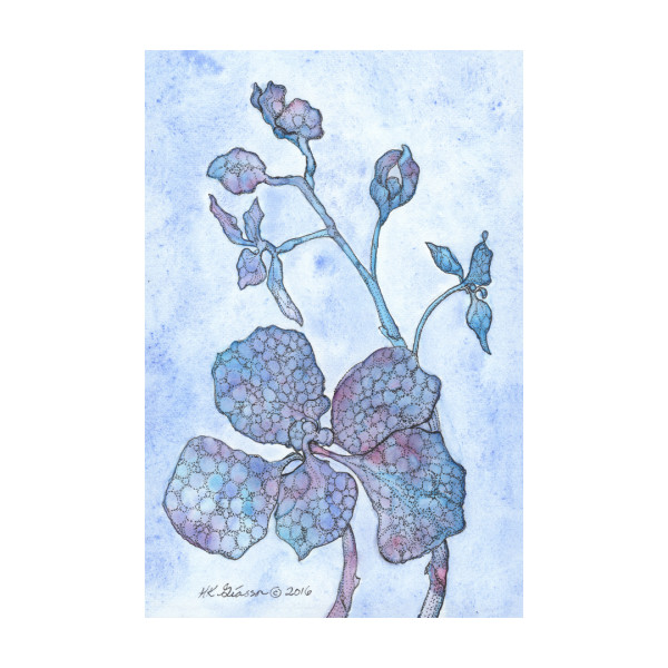 Blue Orchid 2 Floral Watercolor Painting by Helena Kuttner-Giasson