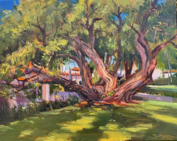Fisher Island Mysterious Tree by MICHELE BYRNE, Image 1.