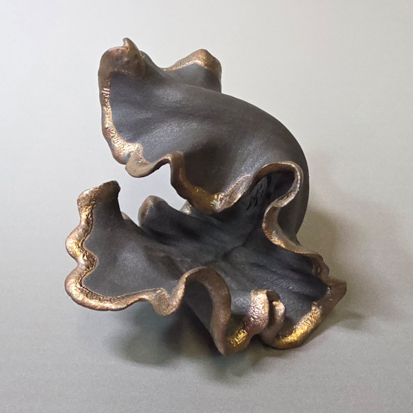 Liminal Crest by Sylvie Pool Alvarez