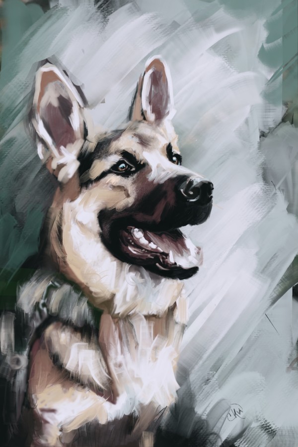 German Shepherd by Carolyn Wonders