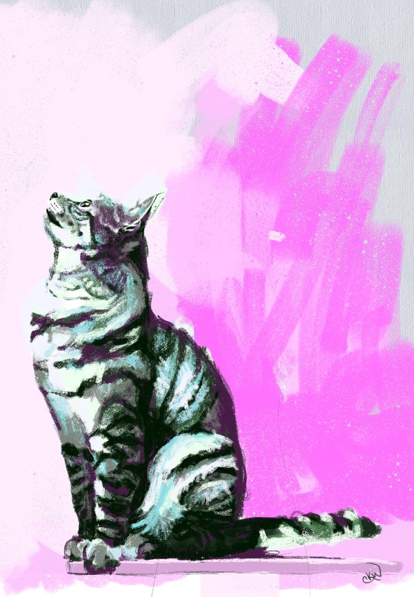 Kitty Cat by Carolyn Wonders