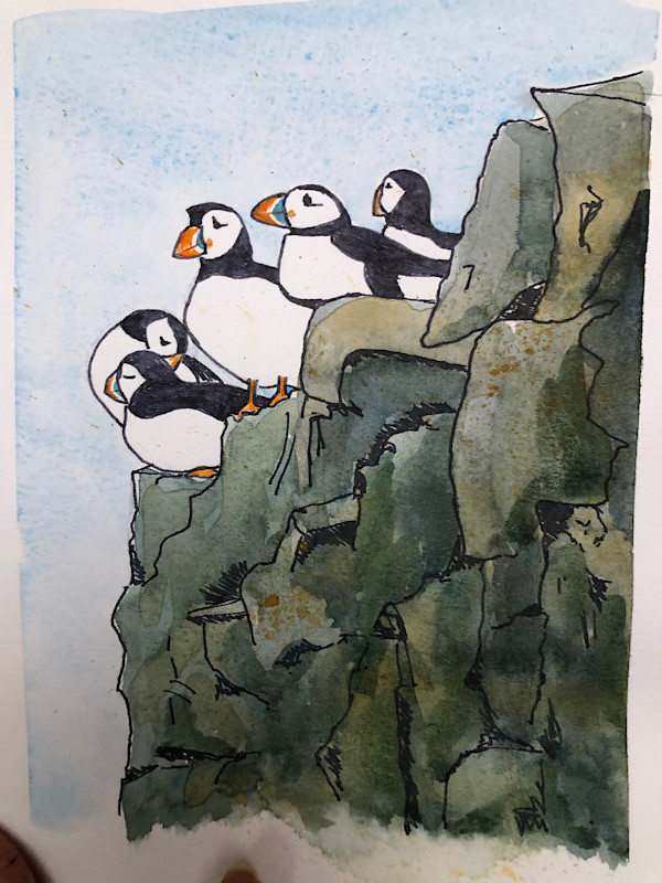Puffins on sea cliff by Paula Jobson