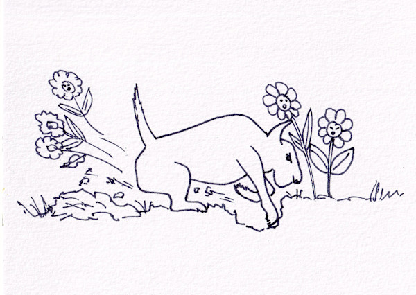 2022 Bad Dog Digging in the Flower Border by Paula Jobson