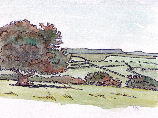 2022_Hay_Bluff_Black_Mountains by Paula Jobson 