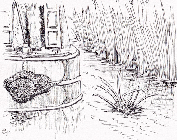 Dodging Reeds by Paula Jobson