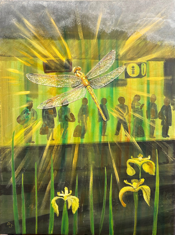 Dreaming of Dragonflies by Paula Jobson