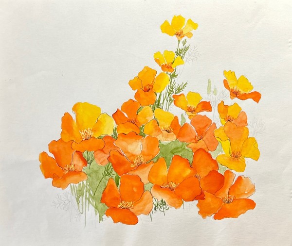 California Poppy Cascade by Vera Neumann