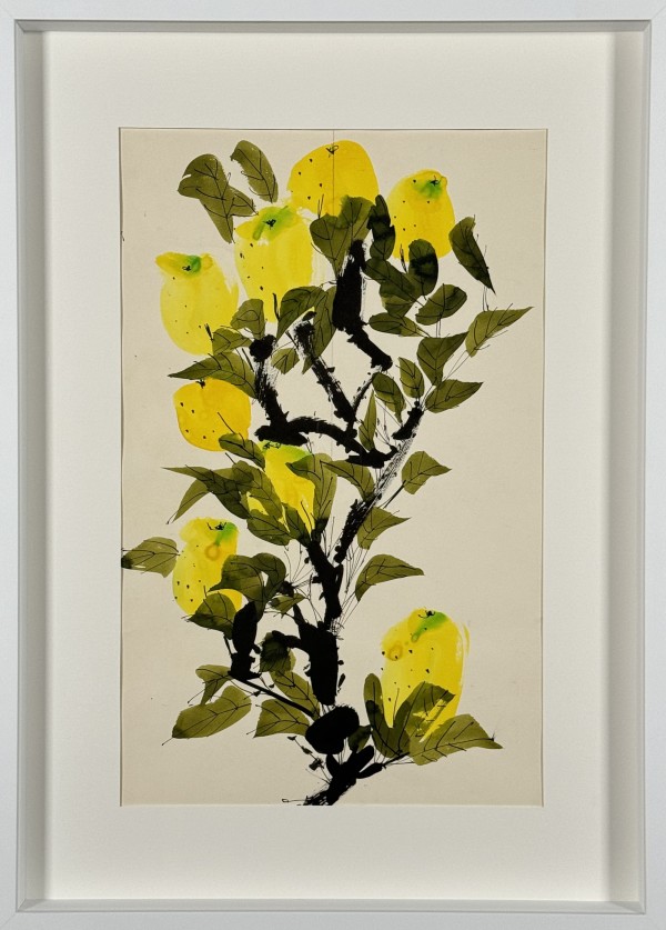 Vera Paints Japanese Loquats by Vera Neumann