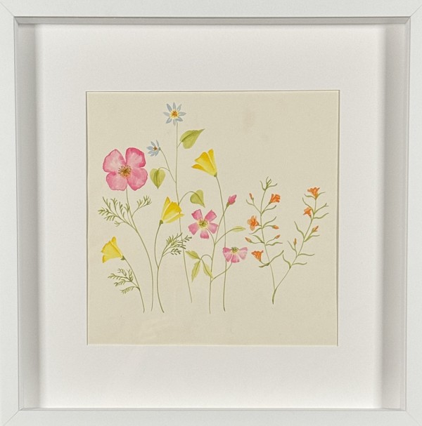 Vera Paints Evening Primrose and Buttercups by Vera Neumann