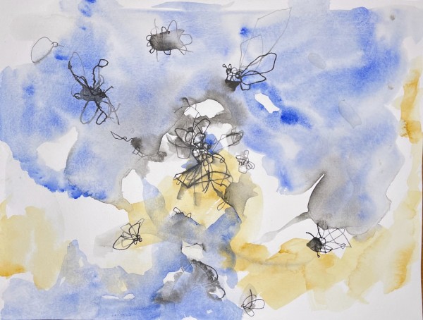 Moths 5 by curtis bay