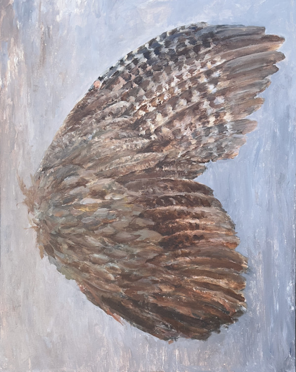 Pheasant Wing by Lorna Herf, Image 1.