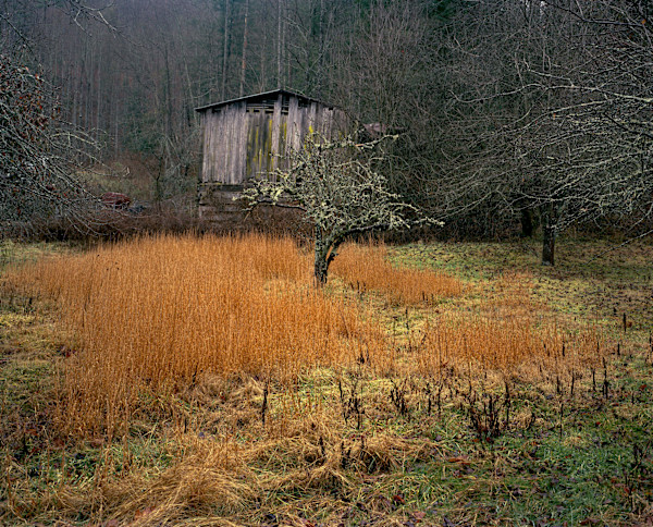 Tilson Mountain, NC (shed/ winter grass) by Mike Smith, Image 1.