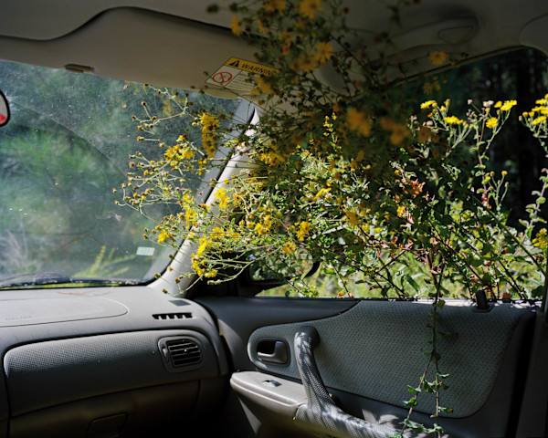 Roadtrip by Georgia Rhodes, Image 1.