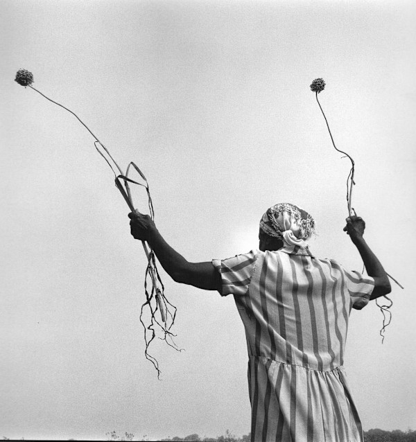 Garlic by Keith Carter, Image 1.