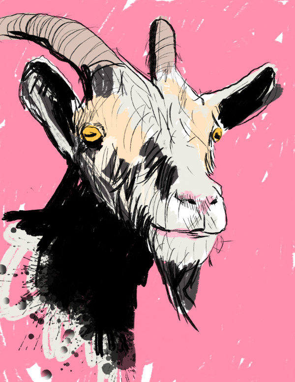 Goat by Brian Huntress