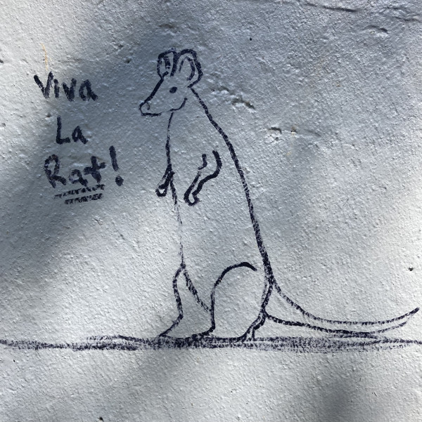 Viva La Rat by Brian Huntress