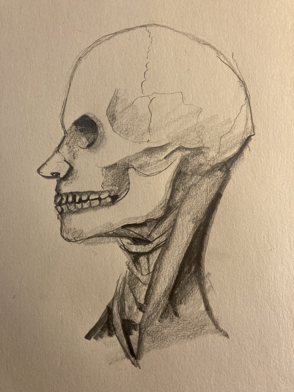 Skull with Nose by Brian Huntress