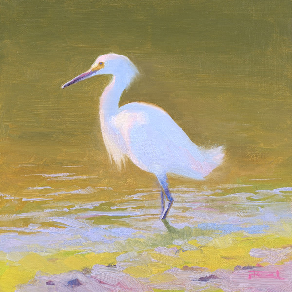 Bodega Bay Local
