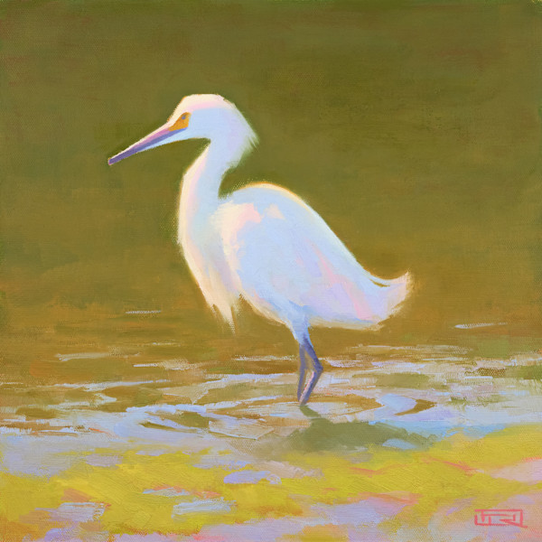 Snowy Egret by Dan Rogers, Image 1.