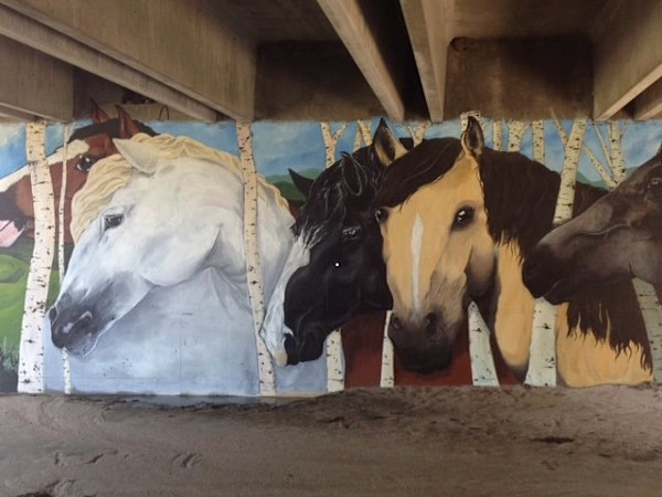 Parker Stampede (Paint Parker Mural) by Lutheran High School Art Students