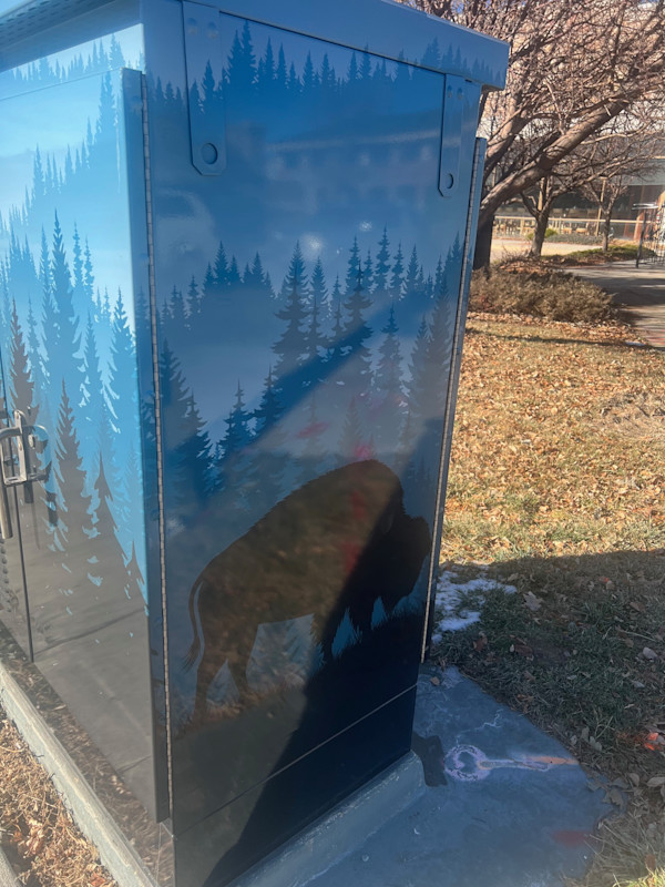 Utility Wrap - Blue Bison (NW Corner of Dransfeldt and Mainstreet)