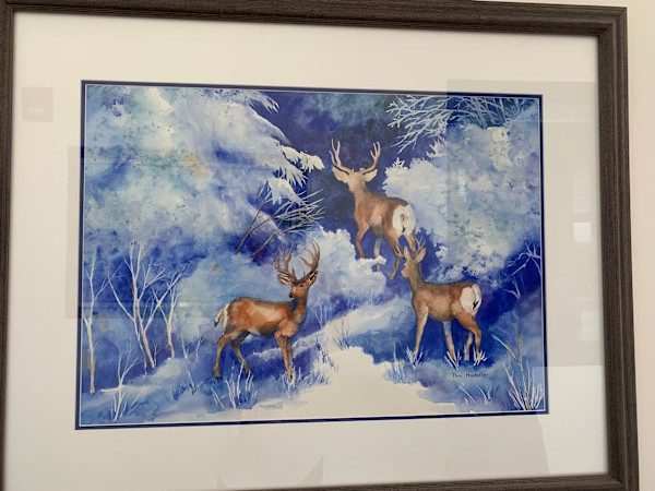 Snow Deer by Pam Hostettler