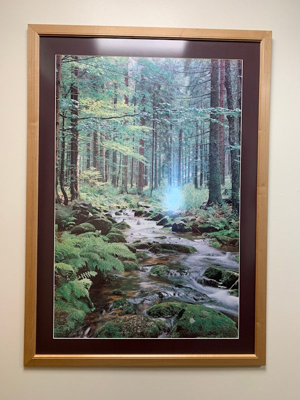 Stream Photograph by Unknown