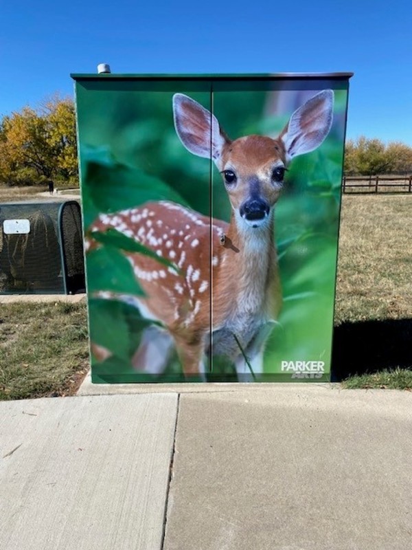 Utility Wrap - Oh Deer (Railbender Park Tennis Courts)