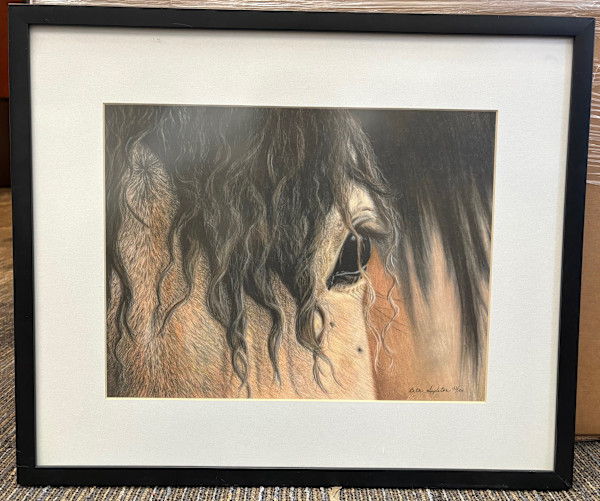 Untitled, sepia toned horse head by Beth Appleton