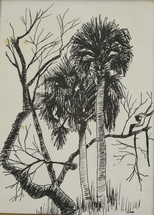 Palms in Black and White by Gary Clark