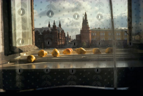 Tolstoy Pears by Sam Abell, Image 4.