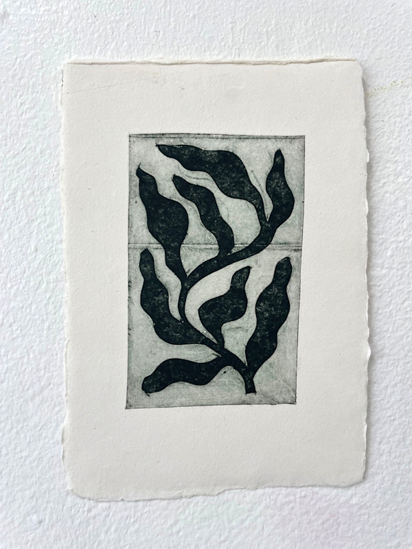 Growth by Rose Jaffe