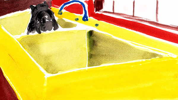 40 Dog by Sarah Jane Lapp