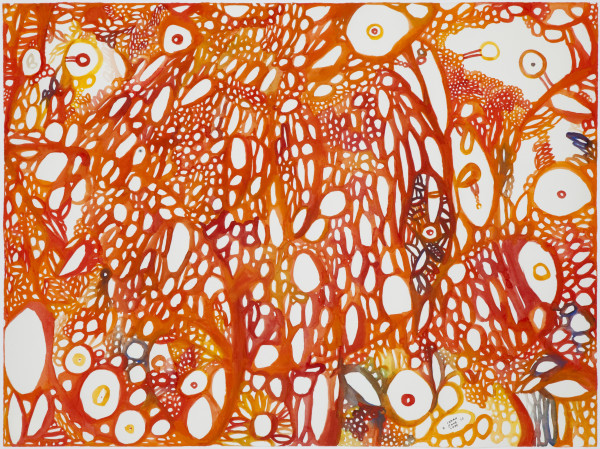 Gravlax by Sarah Jane Lapp